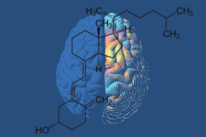 Vitamin D and Alzheimer’s Disease: Neurocognition to Therapeutics